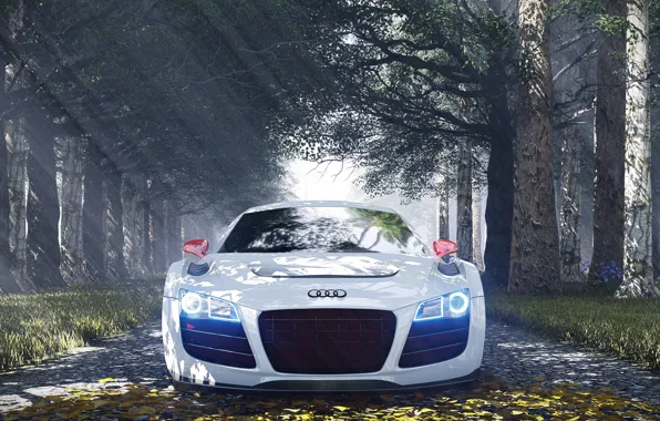 Picture Audi, Audi R8, Special Edition