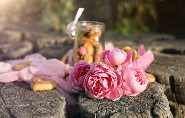 Picture flowers, stump, roses, bouquet, Bank, fabric, pink, bokeh
