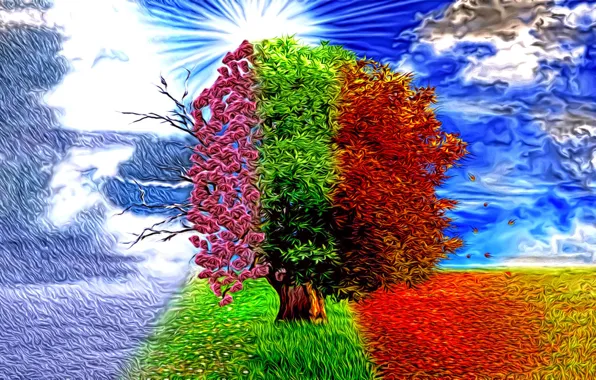 Picture abstraction, rendering, fantasy, tree, seasons, art, winter-spring-summer-autumn