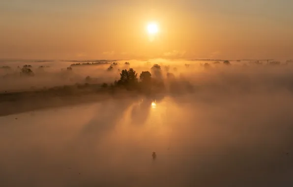 Picture fog, river, The sun, river, sun, fog, Дмитрий Захаров