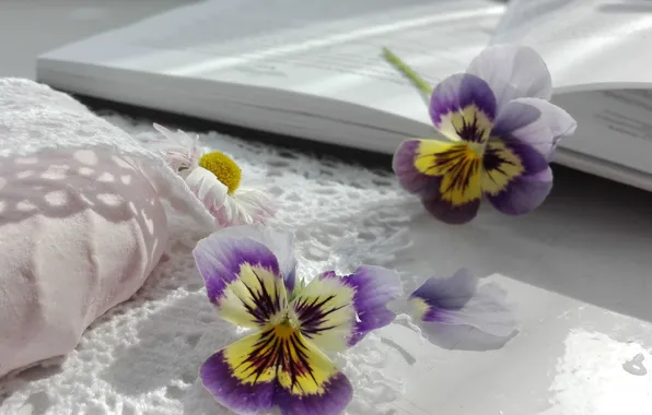 Picture light, flowers, table, petals, Daisy, shadows, book, Pansy, light background, lace, page, lilac, napkin, yellow, …