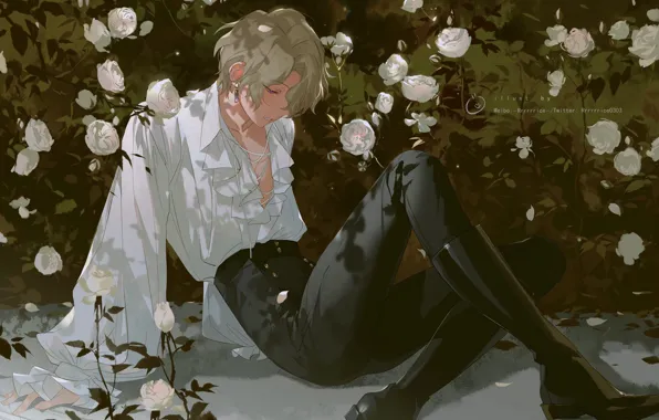 Picture boots, guy, white roses, blonde, ruffles, white shirt, the rose Bush