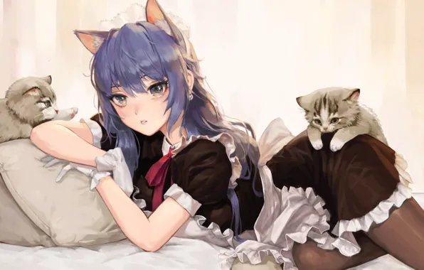 Picture gloves, pillow, on the bed, blue hair, the maid, ruffles, cat ears, two kittens