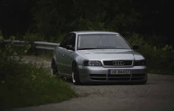 Picture Audi, Front, Grey, RS4, Stance, Face, Silver, Audi A4, Audi RS4