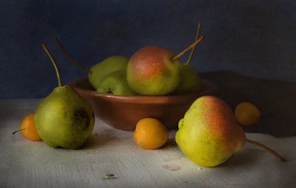 Picture table, fly, fruit, pear, fruit, still life, plum