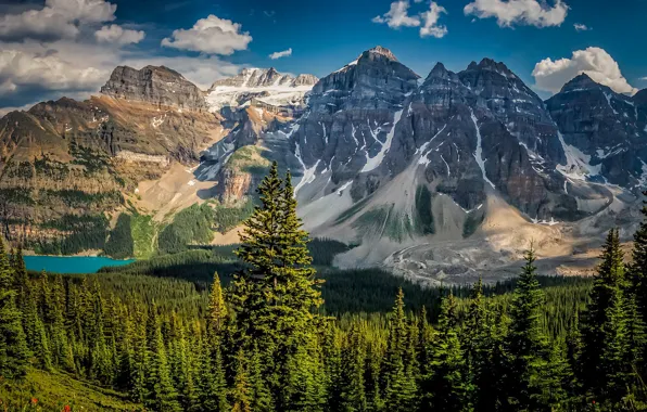 Picture forest, mountains, lake, Canada, Albert, Banff National Park, Alberta, Canada, Moraine Lake, Valley of the …