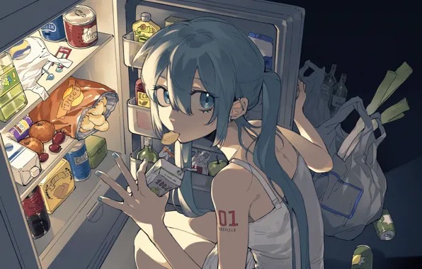 Picture girl, food, refrigerator, Hatsune Miku, Vocaloid, ночной перекус