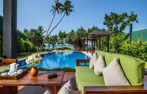 Picture palm trees, Villa, pool, India, terrace, Sri Lanka, Galle, villa Falita