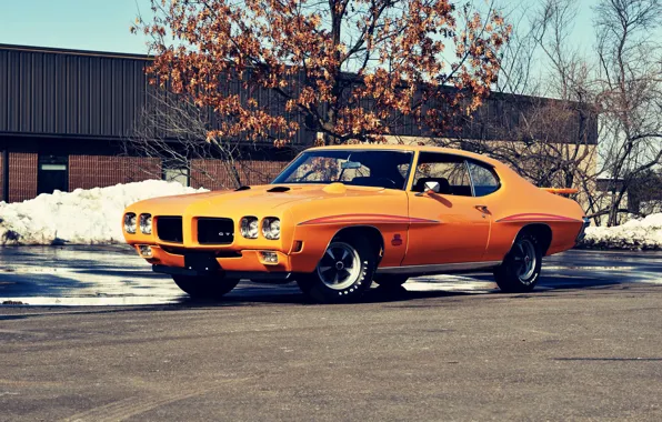 Picture Muscle, Car, Coupe, Pontiac, GTO