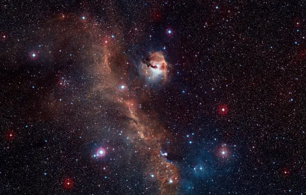 Picture NGC 2327, HD 53367, Constellations Monoceros, IC 2177, The Seagull Nebula, Canis Major