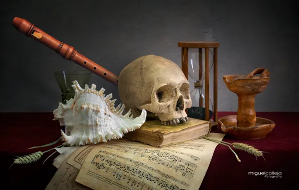 Picture notes, skull, shell, spikelets, book, still life, flute, hourglass