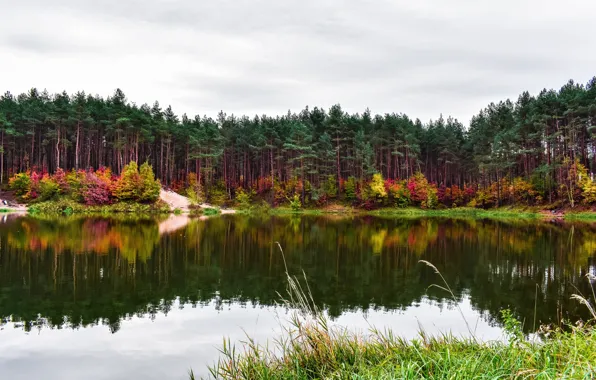 Picture autumn, trees, lake