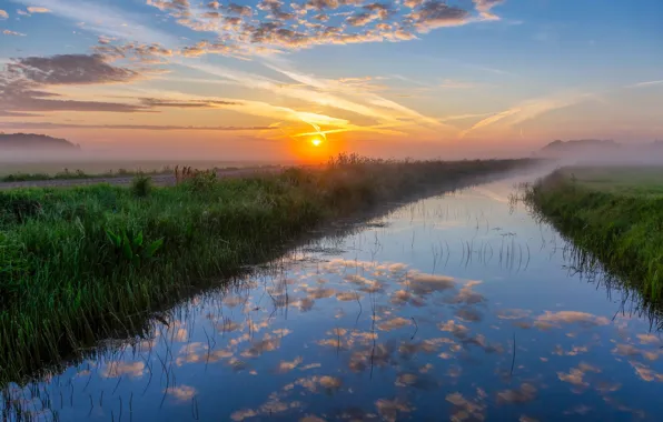 Picture field, sunset, fog, river