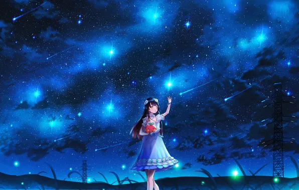 Picture the sky, girl, night, toy, Starfall