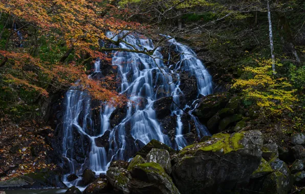 Picture autumn, trees, stones, waterfall, Japan, cascade