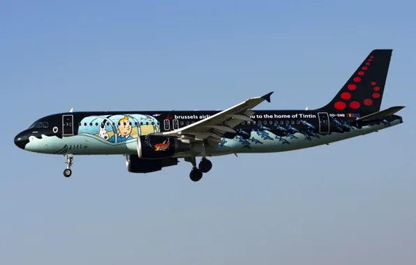 Picture Airbus, Brussels Airlines, A320-200