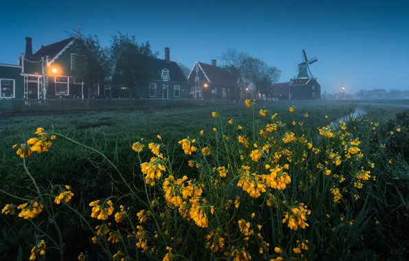 Picture flowers, home, mill, Zaanse Schans, A Dutch Fairytale