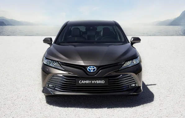 Picture Toyota, sedan, front view, Hybrid, Camry, 2019