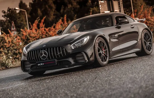 Picture road, shrub, Edo Competition, Mercedes-AMG GT R