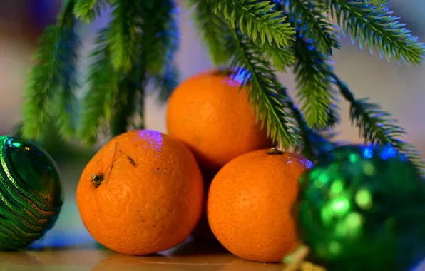 Picture balls, branches, holiday, Christmas, New year, needles, Christmas decorations, tangerines, новогодние декорации