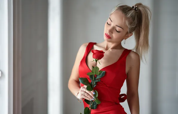 Picture girl, background, rose