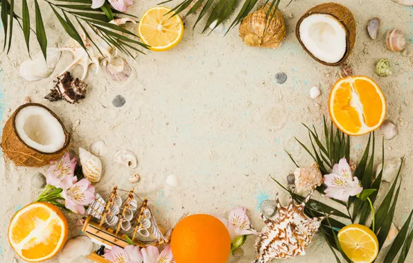 Picture sand, summer, coconut, shell, summer, beach, flowers, sand, fruit, orange, coconut, vacation, seashells