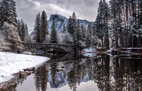 Picture Nature, Winter, Landscape, Bridge, Snow, River, Trees