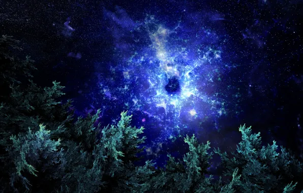Picture forest, space, abstraction, space, fractal, forest, fractal