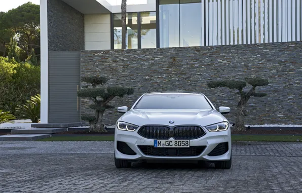 Picture white, coupe, BMW, front view, Gran Coupe, 840i, 8-Series, 2019, the four-door coupe, Eight, G16