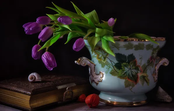 Picture flowers, style, background, shell, tulips, book, vase, still life, physalis