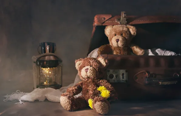 Picture flowers, lantern, suitcase, Teddy bears