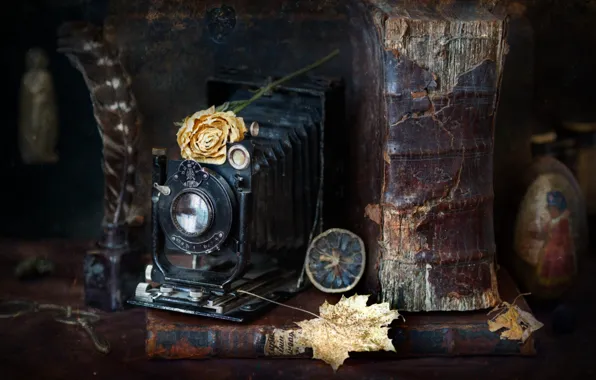 Picture leaves, pen, lemon, rose, the camera, book, old