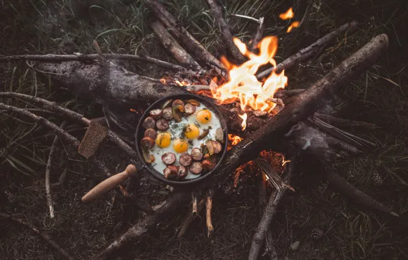 Picture wallpaper, fire, nature, food, background, branches, camping, sticks, bonfire, logs, pine cones, fried eggs, 4k …