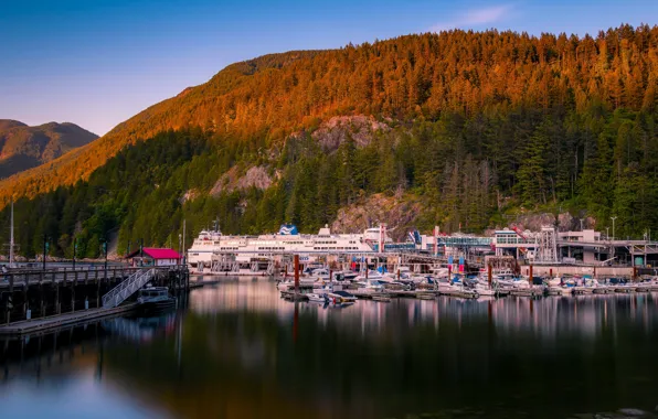 Picture forest, boats, port, Canada, boats
