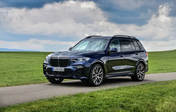 Picture lawn, BMW, crossover, SUV, 2020, BMW X7, M50i, X7, G07