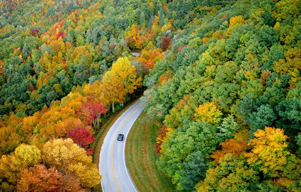 Picture road, machine, auto, autumn, forest, nature, car