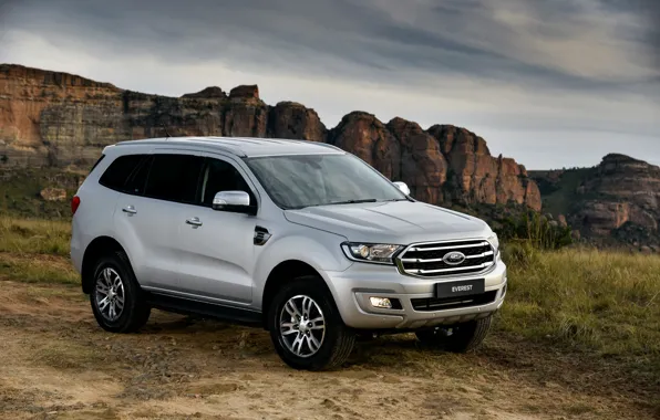 Picture Ford, SUV, Everest, 4WD, XLT, 2019, gray-silver
