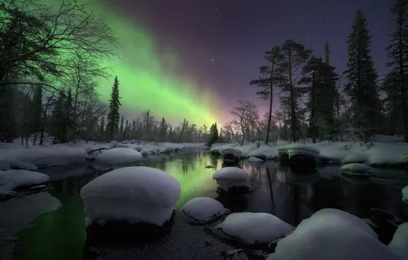 Picture winter, the sky, trees, river, Northern lights