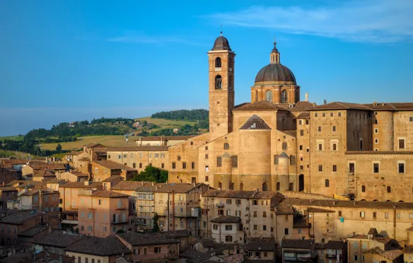 Picture home, Italy, Cathedral, the bell tower, Urbino