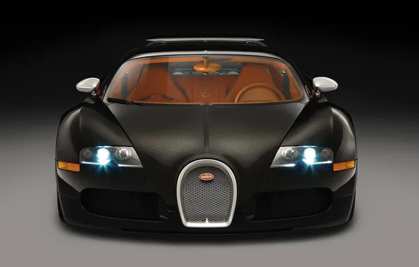 Picture 2008, Bugatti, Veyron, Black Blood
