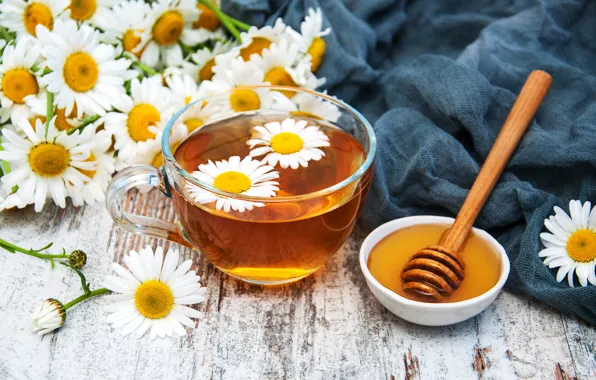 Picture flowers, tea, Daisy, honey, Cup, fragrant