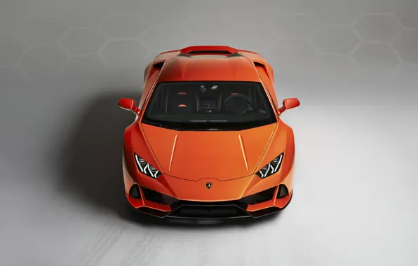Picture Lamborghini, supercar, front view, Evo, Huracan, 2019, Lamborghini Huracan Evo