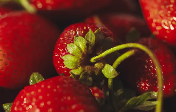 Picture macro, berries, strawberry, red, bokeh