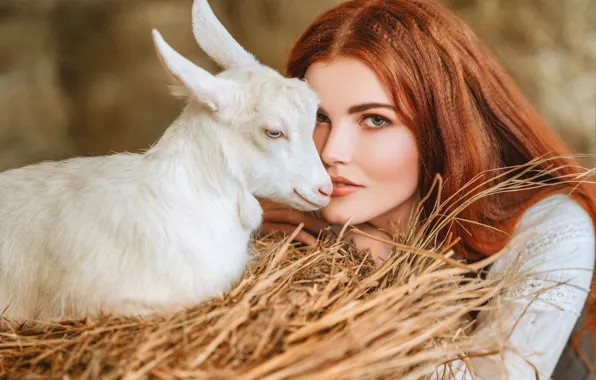 Picture look, girl, face, hay, red, redhead, goat, goat, Диана Липкина