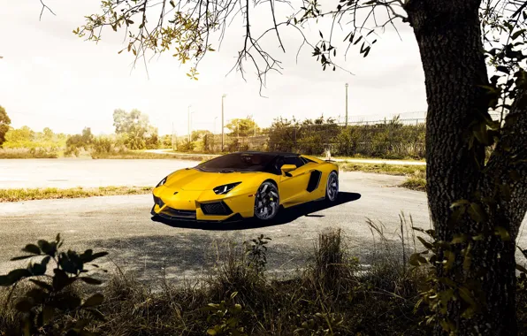 Picture Lamborghini, Black, Yellow, Aventador, Lp700-4, Wheels
