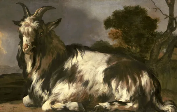 Picture animals, oil, picture, canvas, Jan Baptist Venix, 1660, Jan Baptist Weenix, Lying goat