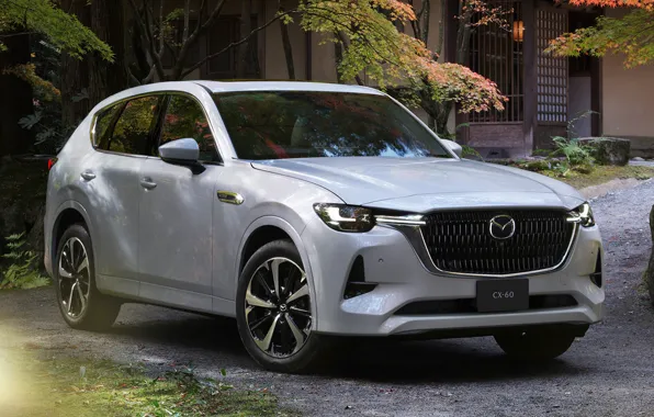 Picture crossover, exterior, Mazda CX-60, for Japan
