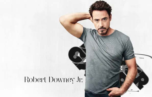 Picture actor, Robert Downey Jr., Robert Downe Jr