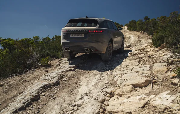 Picture Land Rover, Range Rover, the rise, SUV, feed, V8, Velar, 2019, Dynamic Edition, SV Autobiography