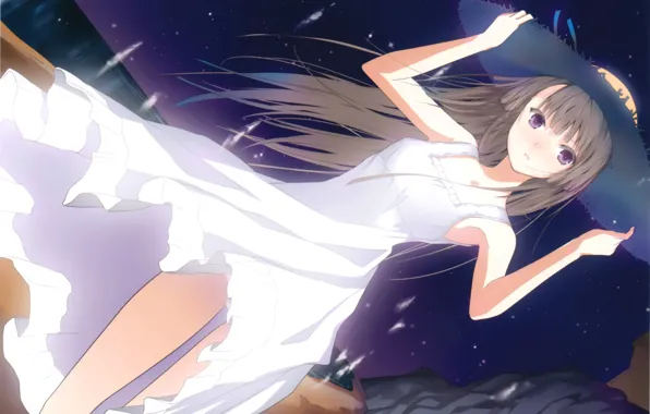 Picture summer, night, girl, white dress, vacation, long hair, starry sky, on the shore, straw hat, …
